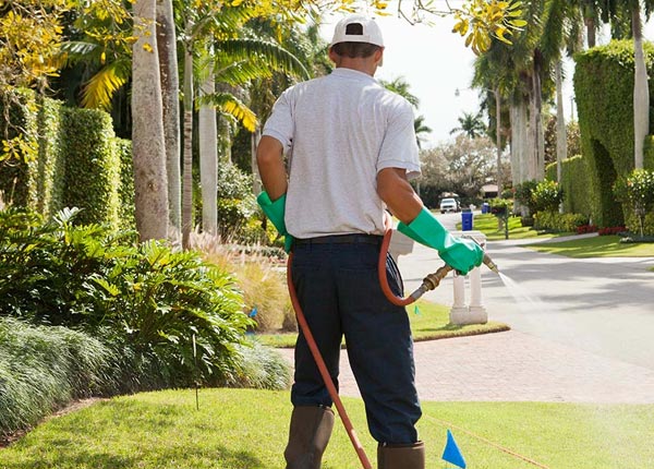About Alum Creek WV Pest Control